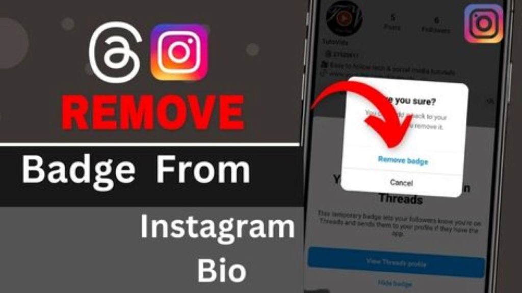 Remove Threads From Instagram Bio